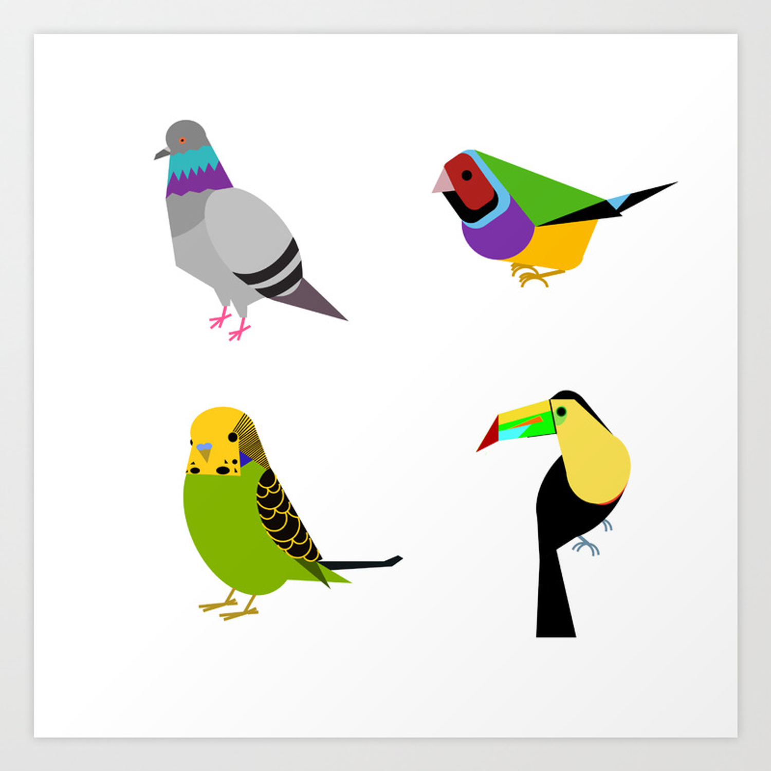 Featured image of post Bird Pictures To Print