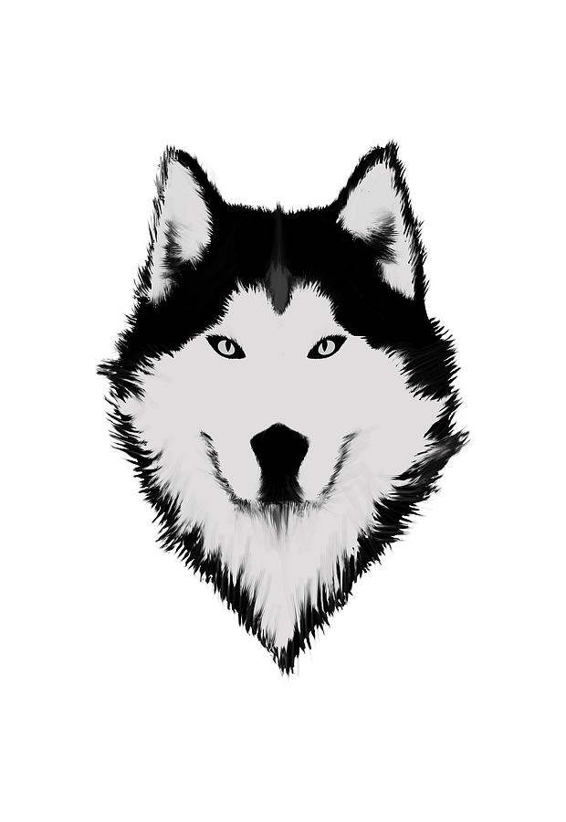 Featured image of post Black Wolf Drawing Face