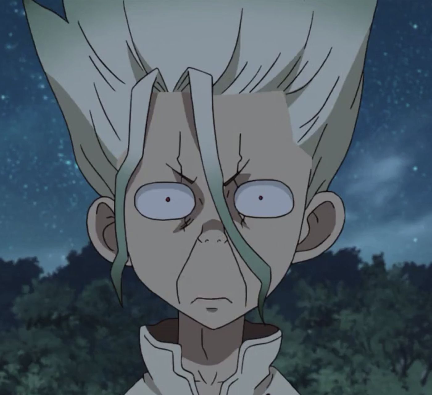 Featured image of post Dr Stone Funny Faces Anime