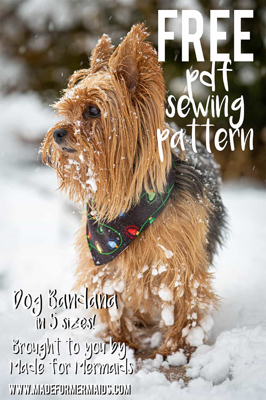 Featured image of post Free Dog Bandana Pattern Pdf