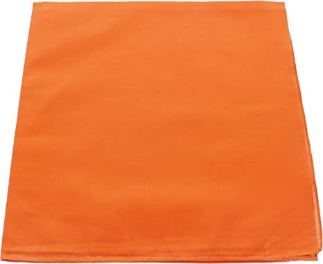 Featured image of post Plain Orange Bandana