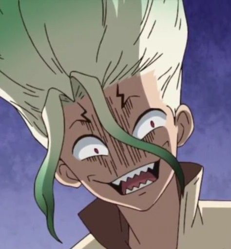 Featured image of post Senku Dr Stone Funny Faces