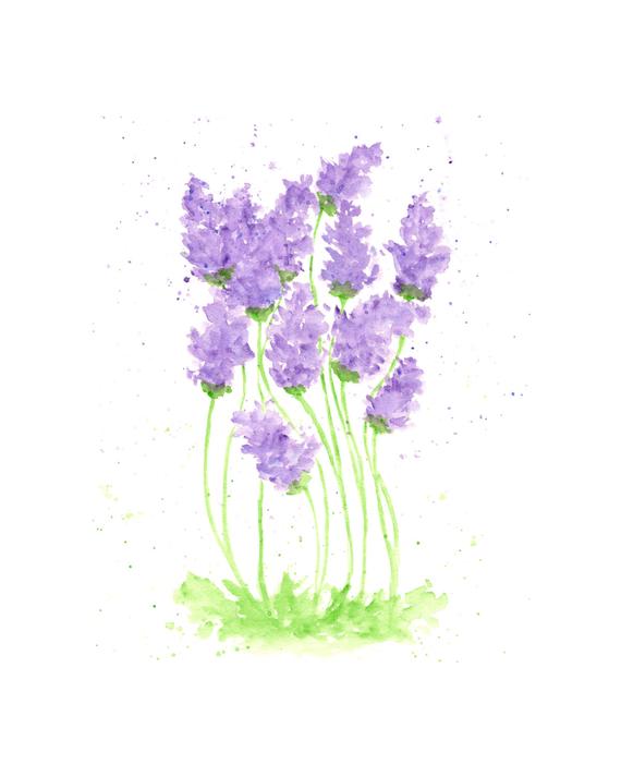 Featured image of post Watercolour Purple Flower Art