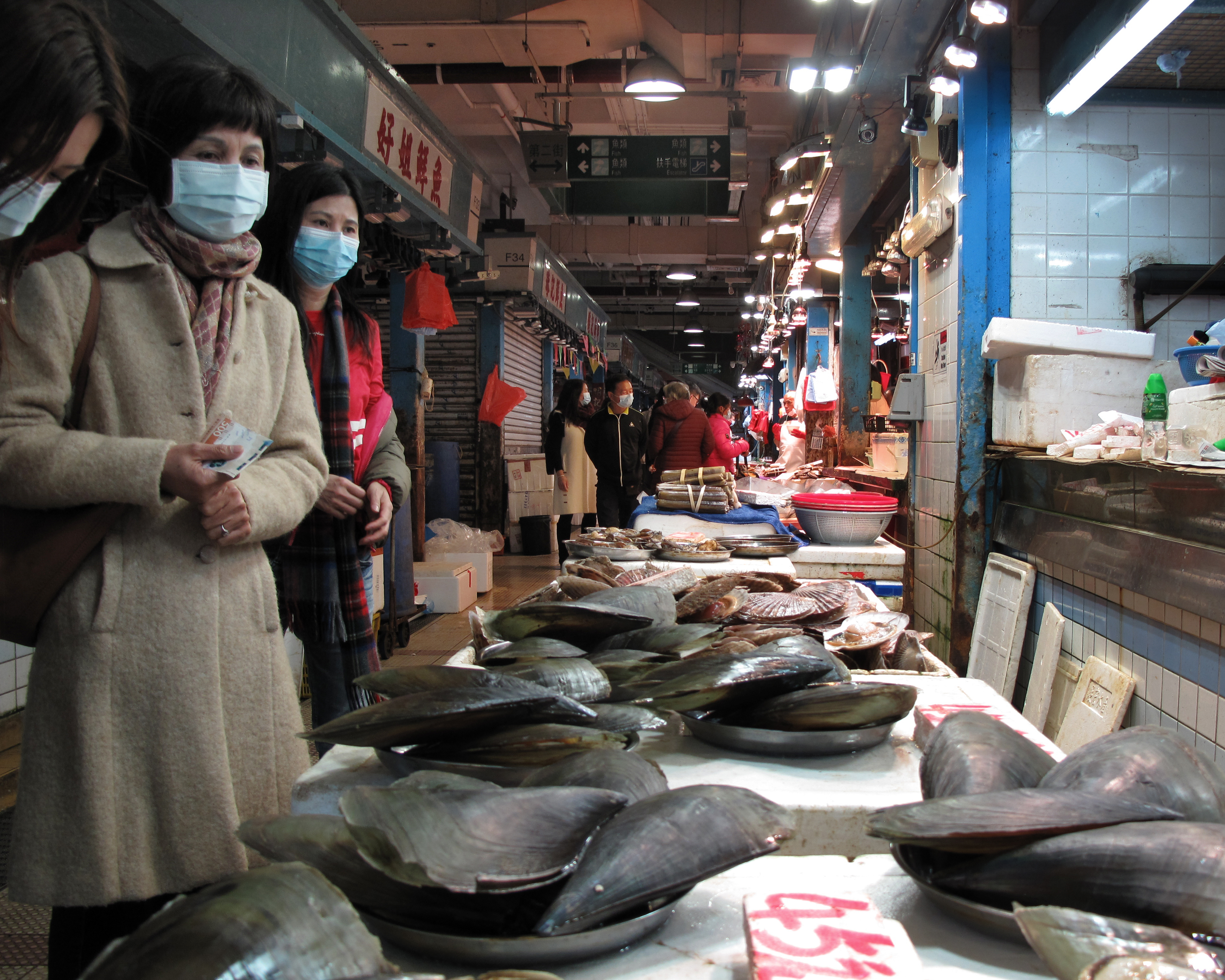 Featured image of post Wuhan Market Pictures